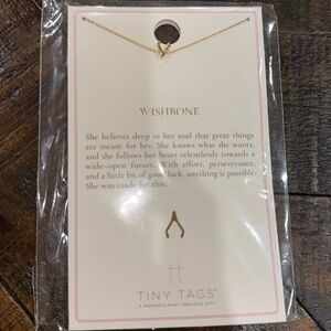 (2 for $20) Tiny Tags wishbone Necklace from target